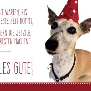 Postkarte Partyhund