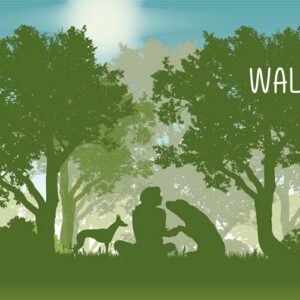 Postkarte Waldbaden Buchcover